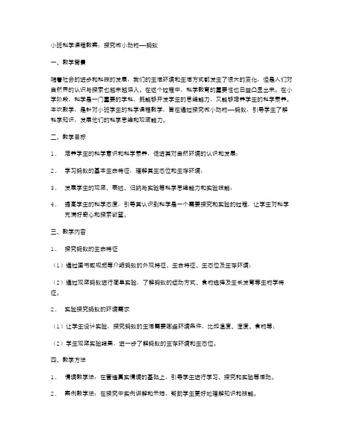 小班科学课程教案：探究微小动物——蚂蚁