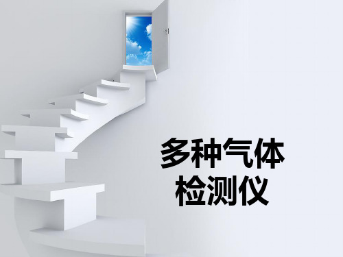 一氧化碳检定器课件.ppt