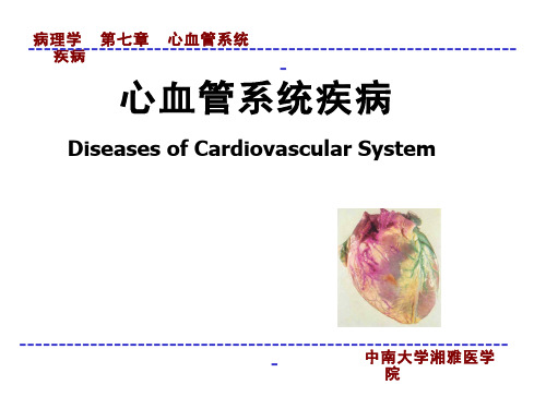 病理学(6.1)--心血管系统疾病