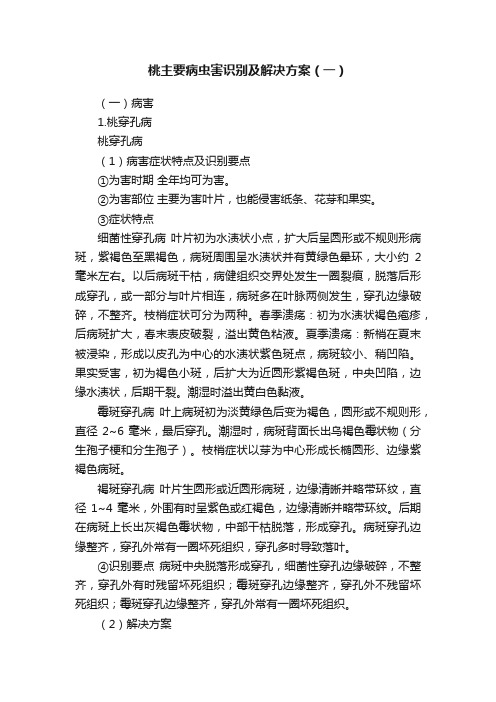 桃主要病虫害识别及解决方案(一)
