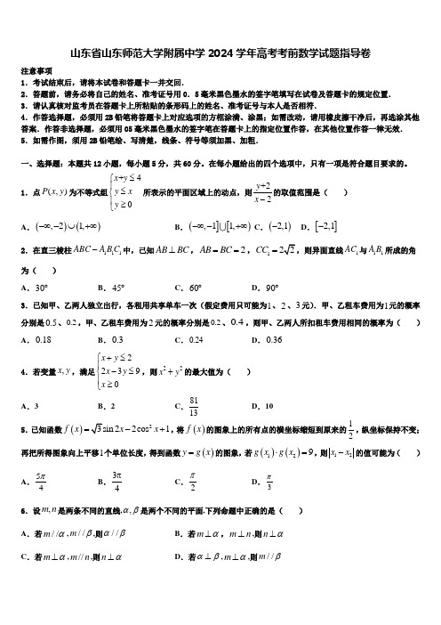 山东省山东师范大学附属中学2024学年高考考前数学试题指导卷