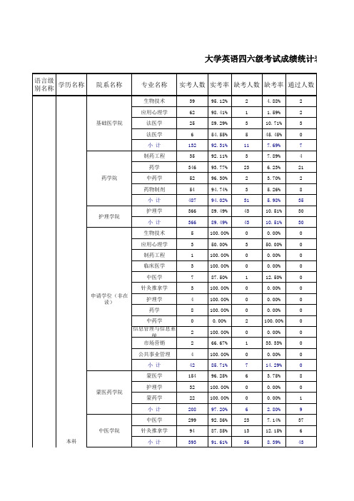 大学英语四六级考试成绩统计表