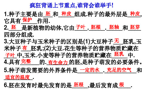 苏教版初中生物七年级上册 3.5.2 植物根的生长 课件(共18张PPT)