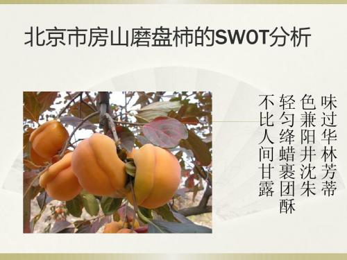 北京市房山磨盘柿的SWOT分析