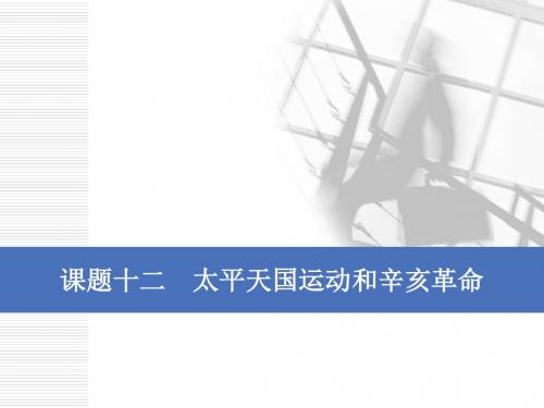 2020年历史(人教版)新高考一轮复习  太平天国运动和辛亥革命