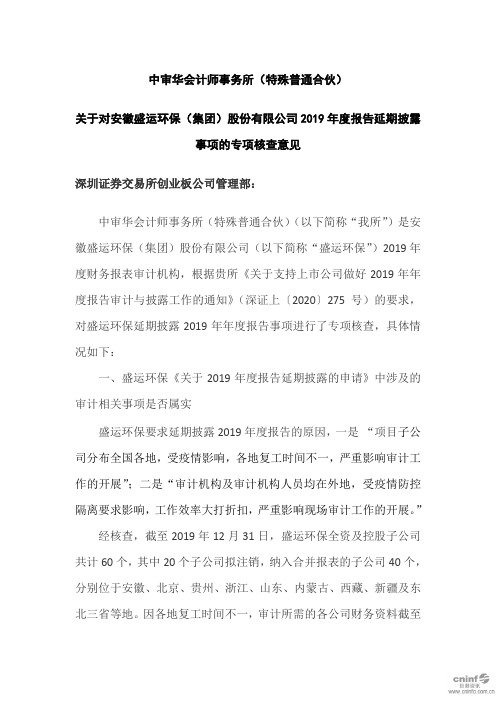 盛运环保：中审华会计师事务所(特殊普通合伙)关于对公司2019年度报告延期披露事项的专项核查意见