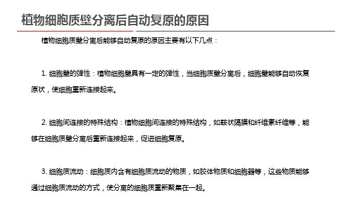 植物细胞质壁分离后自动复原的原因