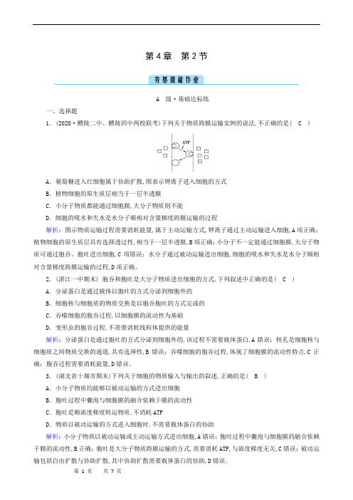 高中生物达标练习-主动运输与胞吞、胞吐