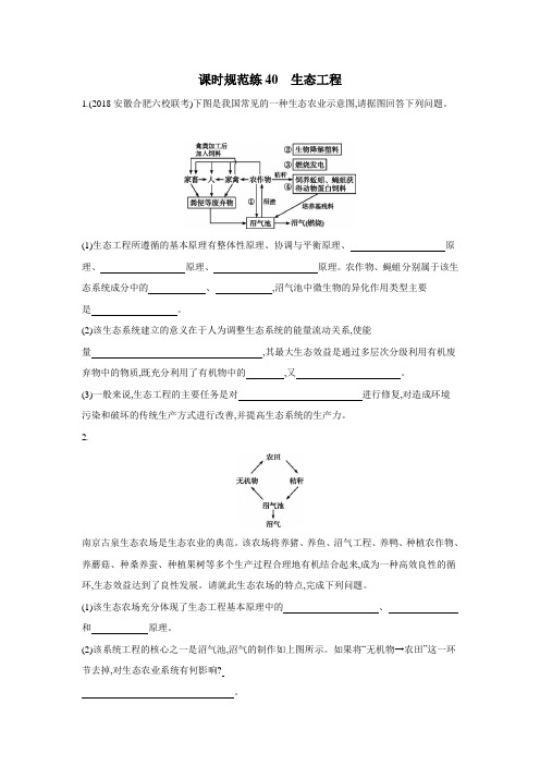 2019高考总复习优化设计1轮生物人教课时规范练40 生态工程(附答案) (1)