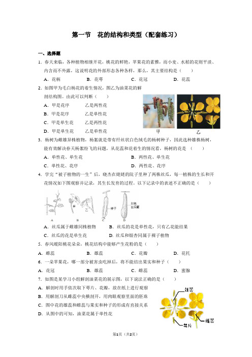 第一节  花的结构和类型(配套练习及答案)    