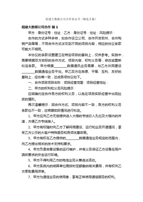 组建大数据公司合作协议书（精选3篇）