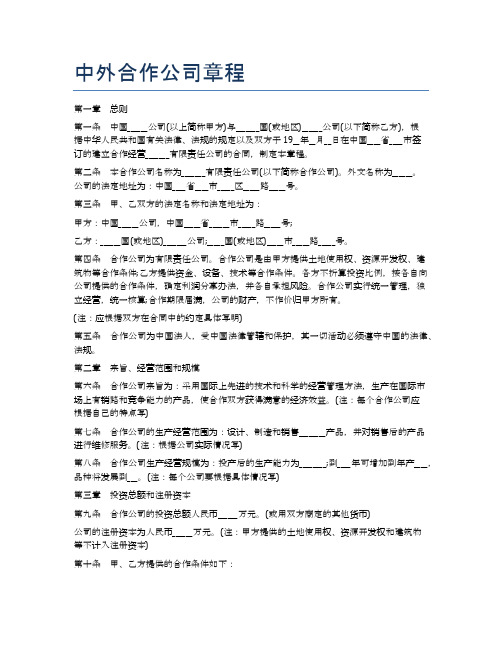 中外合作公司章程精选5篇