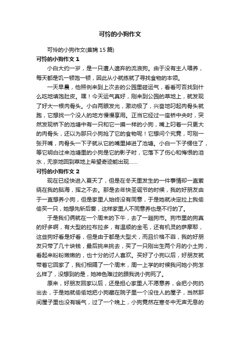 可怜的小狗作文（集锦15篇）