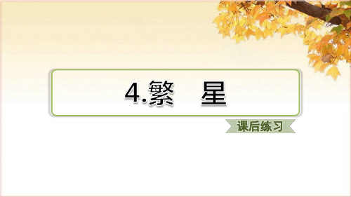 部编四年级上册4.繁星(课后练习)