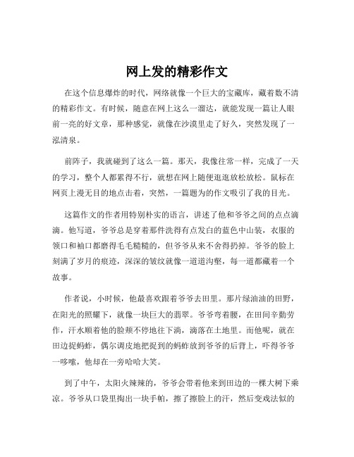 网上发的精彩作文