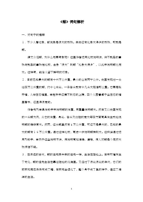 新人教版小学语文五年级上册《鲸》词句解析