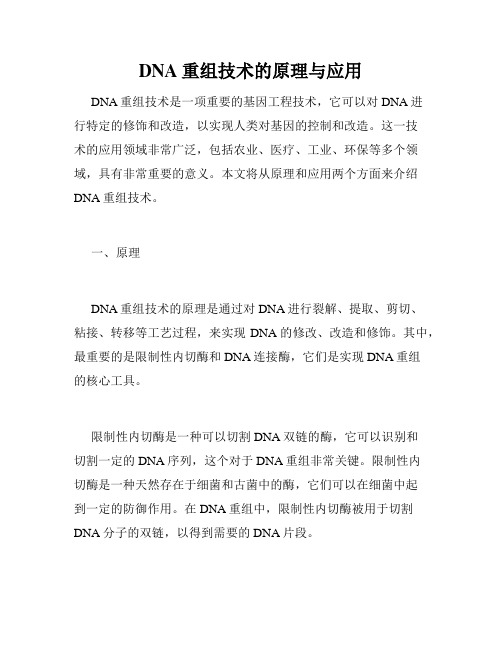 DNA重组技术的原理与应用