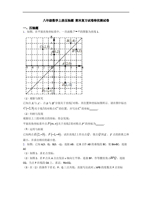 八年级数学上册压轴题 期末复习试卷培优测试卷