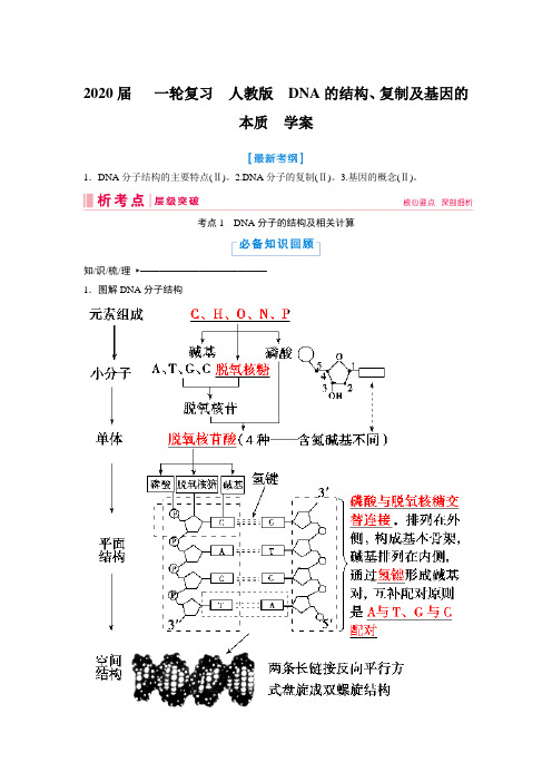 2020年高考   一轮复习  人教版  DNA的结构、复制及基因的本质  学案.doc