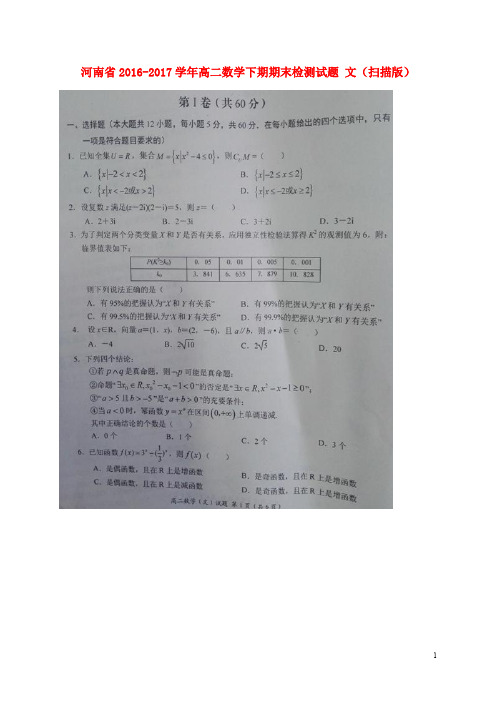 河南省高二数学下学期期末检测试题 文(扫描版)(1)