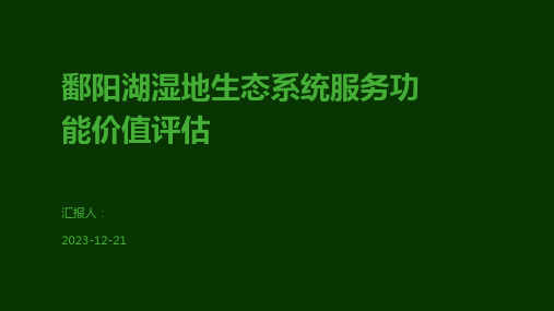 鄱阳湖湿地生态系统服务功能价值评估