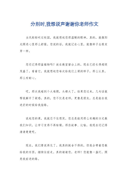 分别时,我想说声谢谢你老师作文