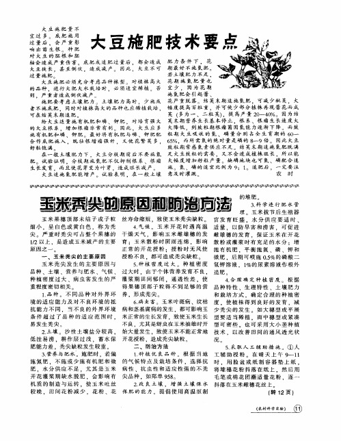 玉米秃尖的原因和防治方法