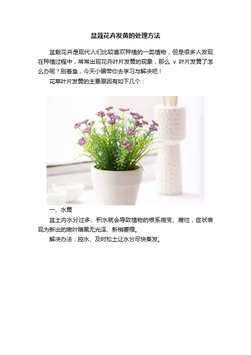 盆栽花卉发黄的处理方法