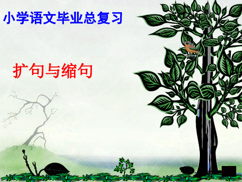 小学语文缩句、扩句复习PPT优选课件
