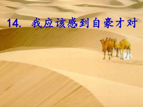 苏教版三年级小学语文下册《我应该感到自豪才对》课件