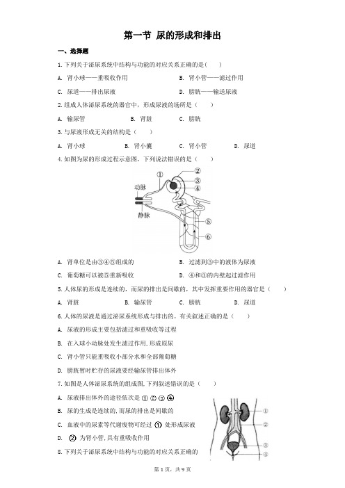 第五章第一节尿的形成和排出课堂练习2021-2022学年鲁科版生物七年级上册