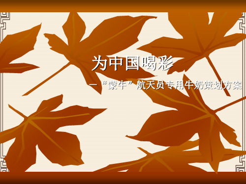 蒙牛航天员专用牛奶策划方案(ppt 23页)