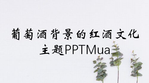 葡萄酒背景的红酒文化主题PPTMua