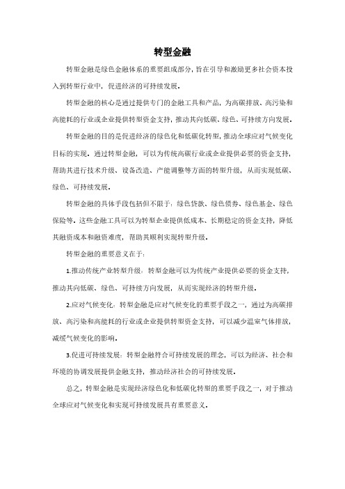 转型金融 pdf