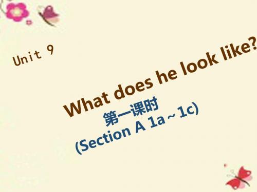 【四清导航】七年级英语下册 Unit 9 What does he look like(第1课时)课件 (新版)人教新目标版