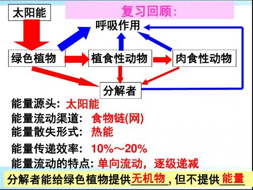 人教版高中生物必修(三)5.3生态系统的物质循环