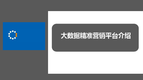 大数据精准营销平台介绍