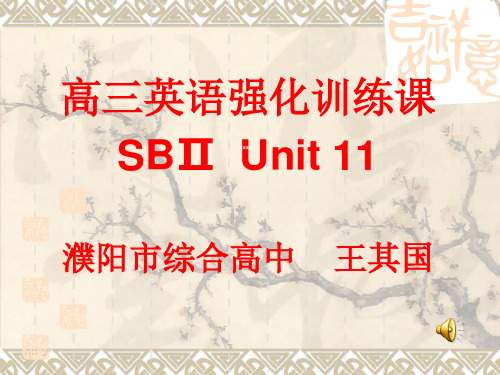 河南省濮阳市综合高中高考课件英语专项复习：SBⅡ  Unit 11(共28张PPT)