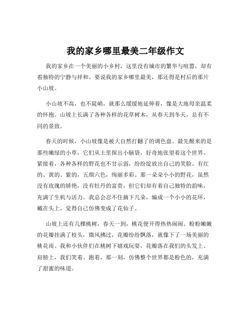 我的家乡哪里最美二年级作文