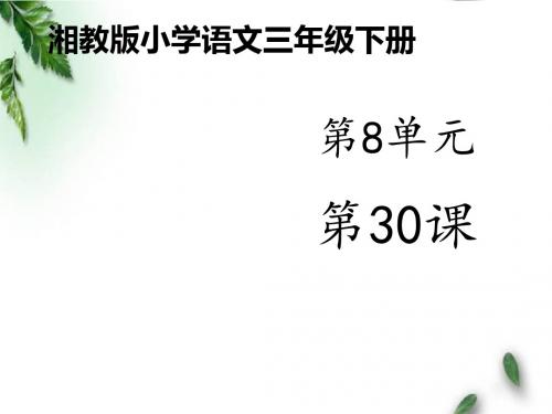 最新湘教版小学语文三年级下册《读不完的大书》公开课课件1