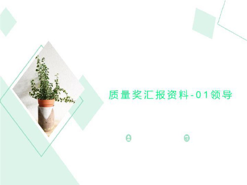 质量奖汇报资料-01领导