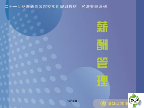 战略性薪酬管理(3)
