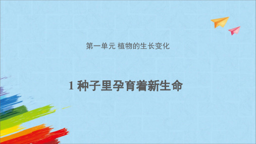 教科版四年级科学下册《种子里孕育着新生命》教学课件