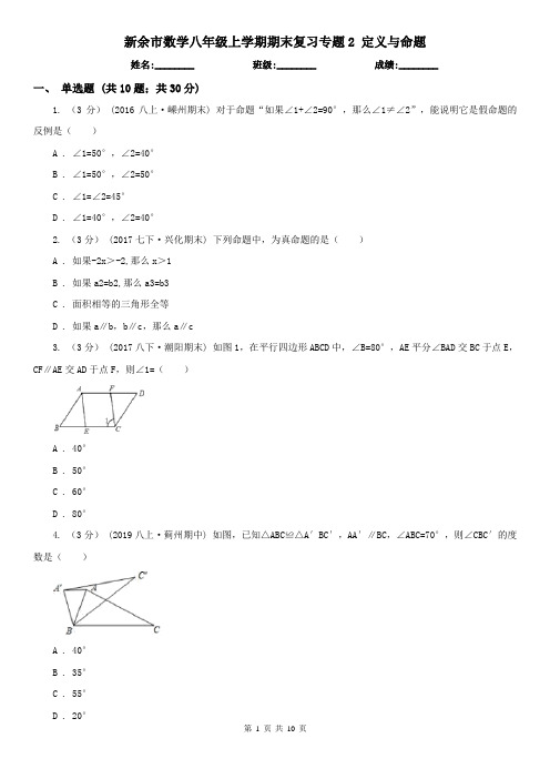 新余市数学八年级上学期期末复习专题2 定义与命题