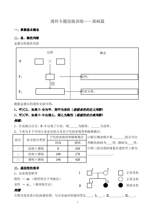 遗传基本技能训练