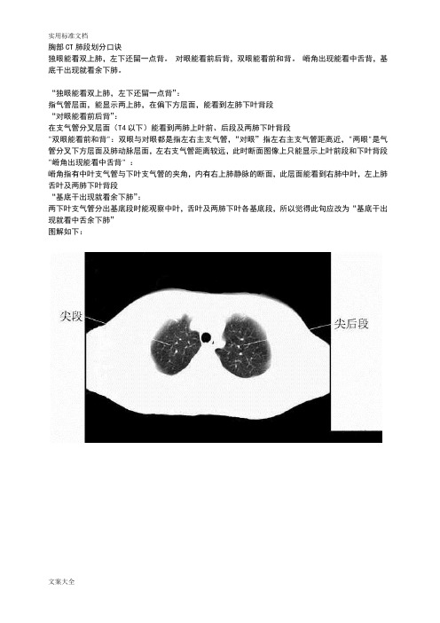 胸部CT肺段划分口诀