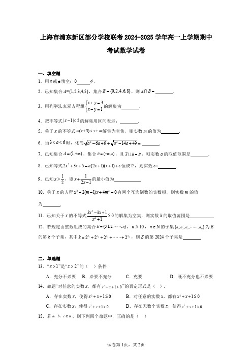 上海市浦东新区部分学校联考2024-2025学年高一上学期期中考试数学试卷