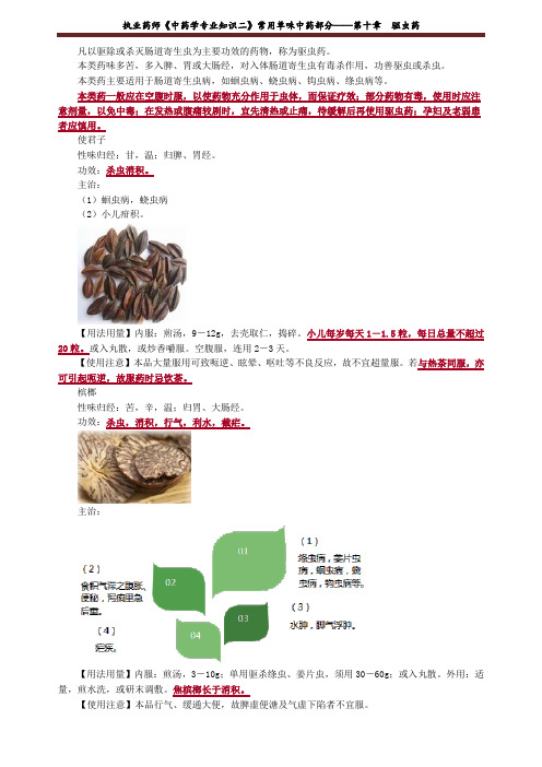 执业药师《中药学专业知识二》常用单味中药部分——第十章 驱虫药