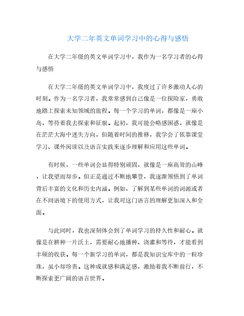 大学二年英文单词学习中的心得与感悟