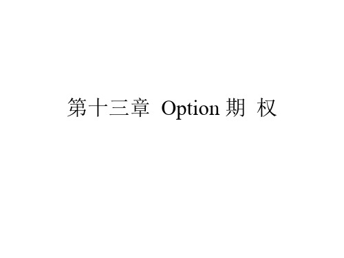 第十三章 Option 期 权PPT课件